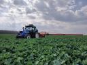 Naše rodinná farma by si ráda pronajala pozemky v okruhu 30 km od města.