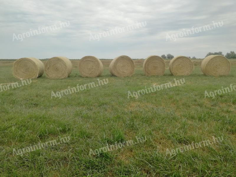 Rett hay for sale