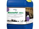 Stammteilung: Bactofil-Zelle