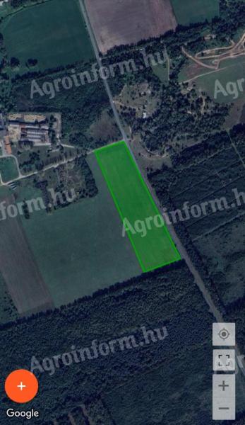 For sale arable land KUP in the countryside