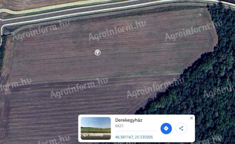 Arable land for sale in Derekegyháza