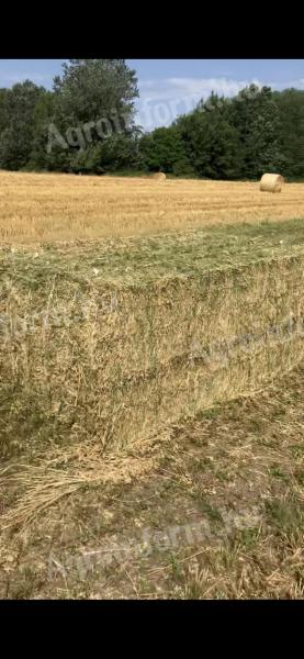 Alfalfa in seno za prodajo v razsutem stanju