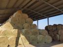 Alfalfa and hay for sale in bulk