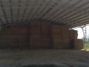 Alfalfa and hay for sale in bulk