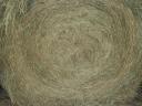 Alfalfa and hay for sale in bulk