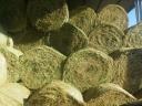 Alfalfa and hay for sale in bulk