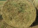 Alfalfa and hay for sale in bulk