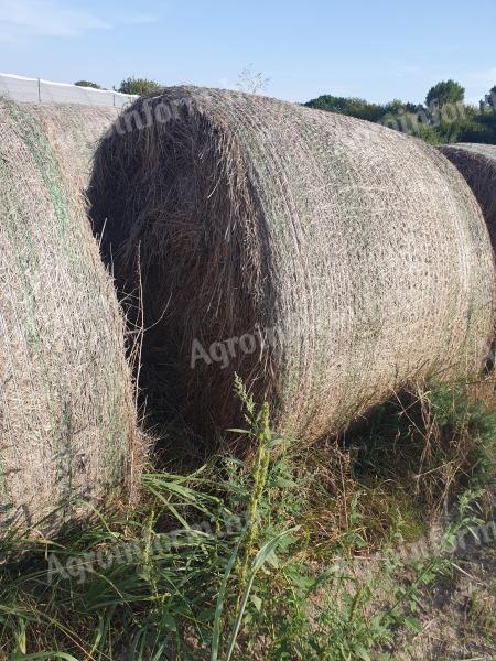 Round bale of hay from last year