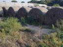 Round bale of hay from last year