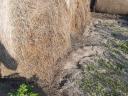 Round bale of hay from last year