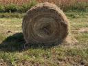 Bale of hay