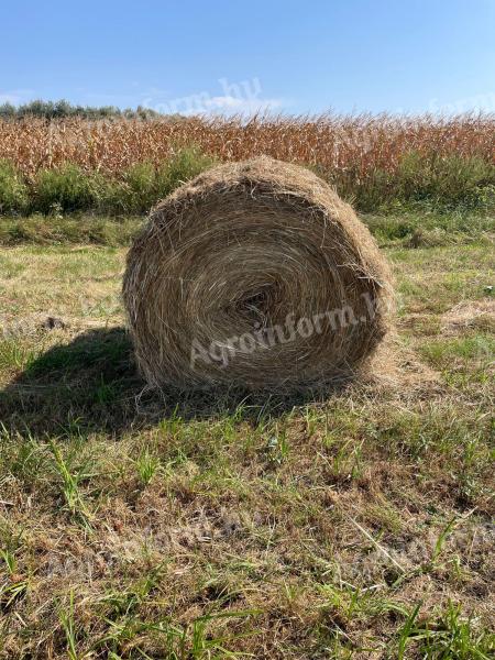 Bale of hay