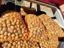 Walnuts in shell for sale, fresh this year, thin shell, paper shell