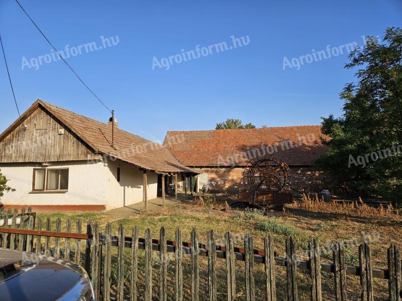 Horticultural family farm for sale