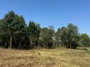 3 plots for sale in Hövejen, in a quiet location at the edge of the village