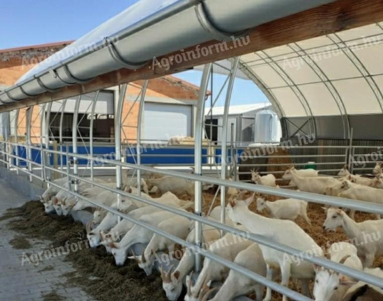 Animal hall with feeding alley, cattle shed, sheepfold, with building permit