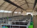 Animal hall with feeding alley, cattle shed, sheepfold, with building permit