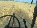 Claas Conspeed FC / Mega, Medion, Dominator, Lexion