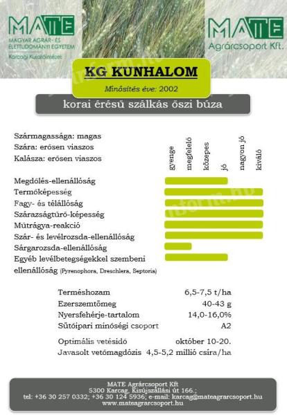 KG Kunhalom winter wheat seed grade II stripped