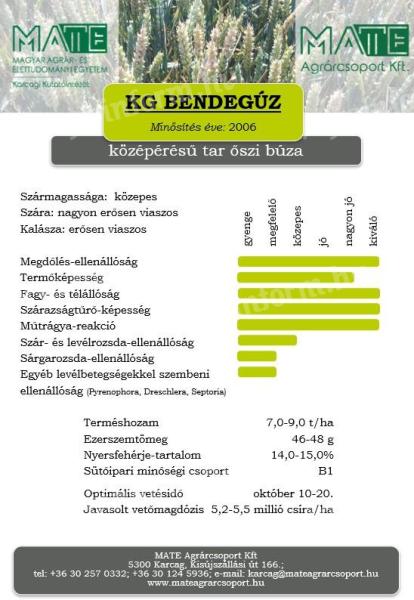 KG Bendegúz Winterweizensamen II. Note geebnet