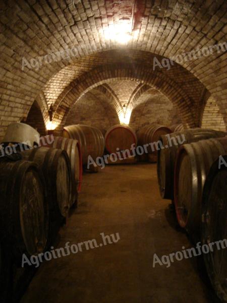 Szekszárd premium river red wine for sale