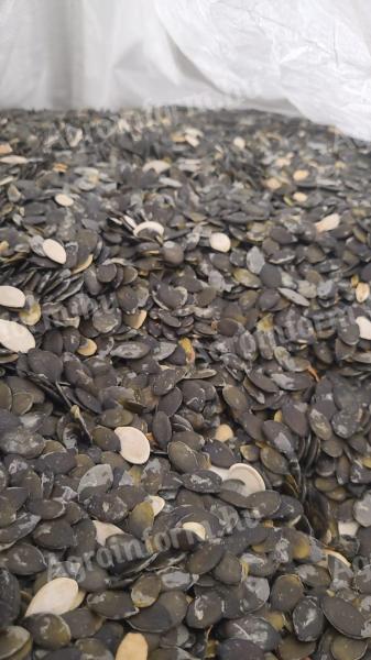 Shell-less pumpkin seeds