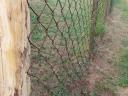 Fence, game netting, game fence, wire netting