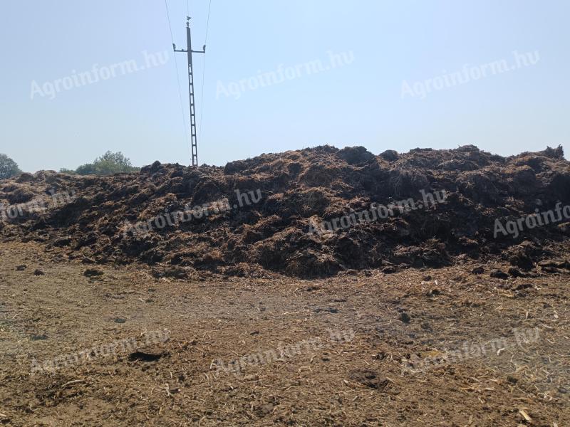 Cattle manure for sale