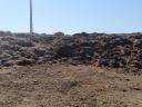 Cattle manure for sale