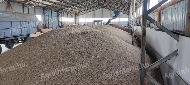 Oats for sale