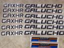 Galucho GAXHR X V disc factory sticker set