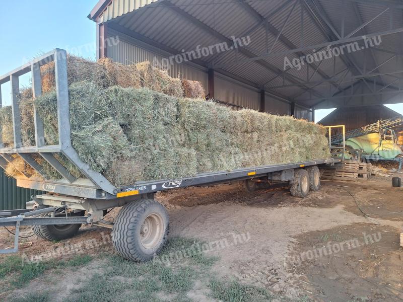 Hay bale with horns