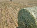 Rustication round bale