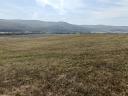 Arable land for sale