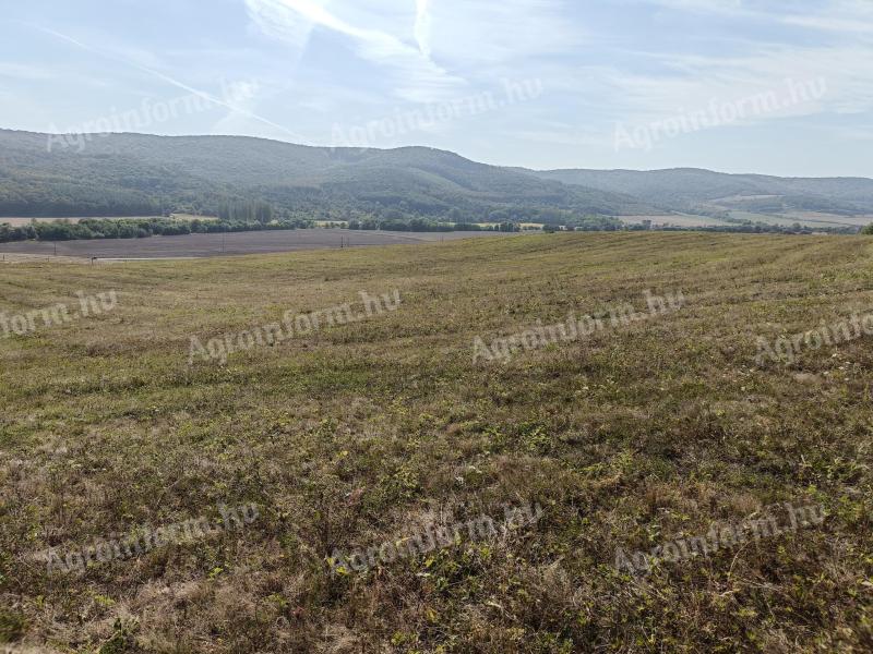 Arable land for sale