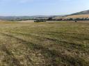 Arable land for sale