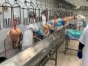 Working chicken slaughterhouse for sale in Bács-Kiskun county