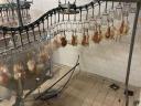 Working chicken slaughterhouse for sale in Bács-Kiskun county