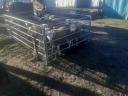 Berrichon du Cher pedigree rams for sale