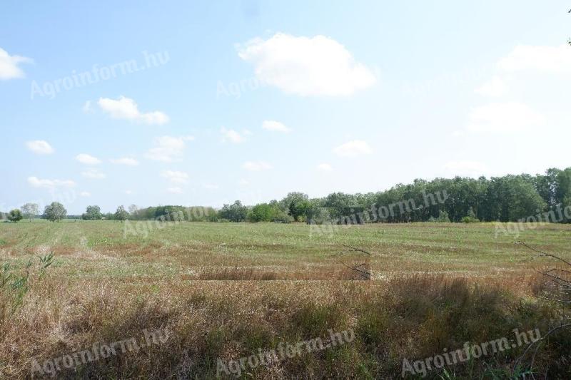 3.7 hectares of land for sale in Balástyán