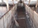 Livestock farm for sale