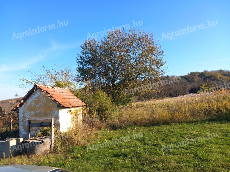 Bakonygyiróton cadru închis