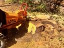 Tree felling, stump grinding with 100% guarantee for individuals and companies