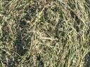 Lucerna and hay bales