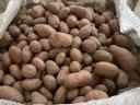 Potatoes for sale from producer