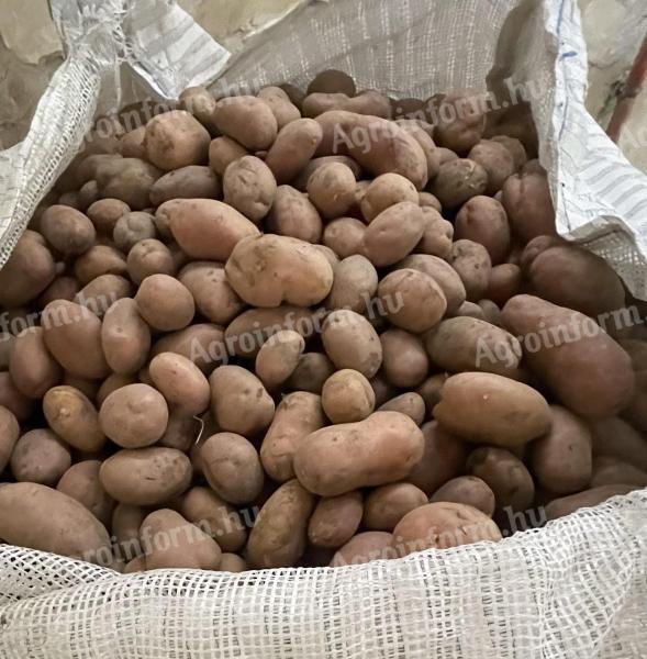 Potatoes for sale from producer