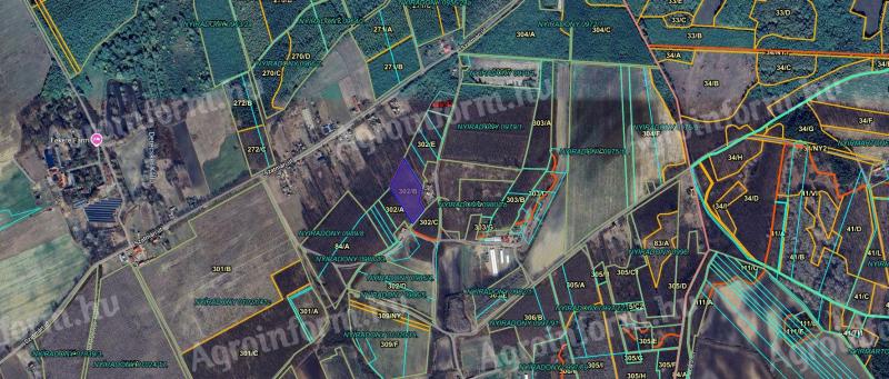 1,18 ha Akazienwald zu verkaufen, 1/1 Eigentum zwischen Hajdúsámson und Nyíradony