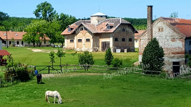 BIO pšenica v razsutem stanju