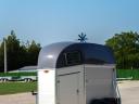 New Böckmann Eco horsebox action 4.299.000 Ft with license plate