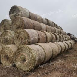 Alfalfa na predaj